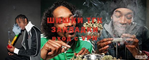 тгк Алзамай