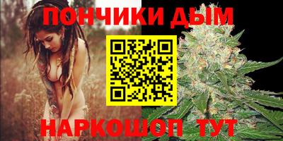 крисы Кузнецк