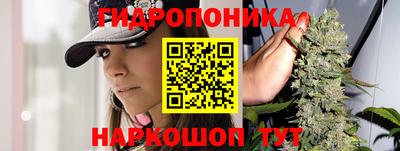 сатива Будённовск